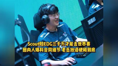 圈内爆料edg,揭秘战队背后的故事与挑战  第1张